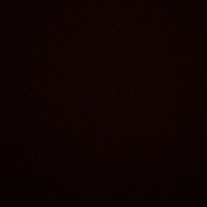 Meet your Posher, Shawn